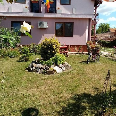 Pensiunea Oana Hotel Balc Exterior foto