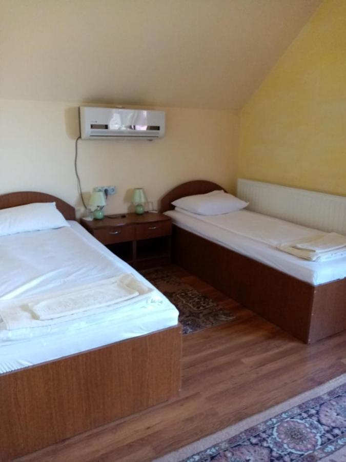 Pensiunea Oana Hotel Balc Exterior foto