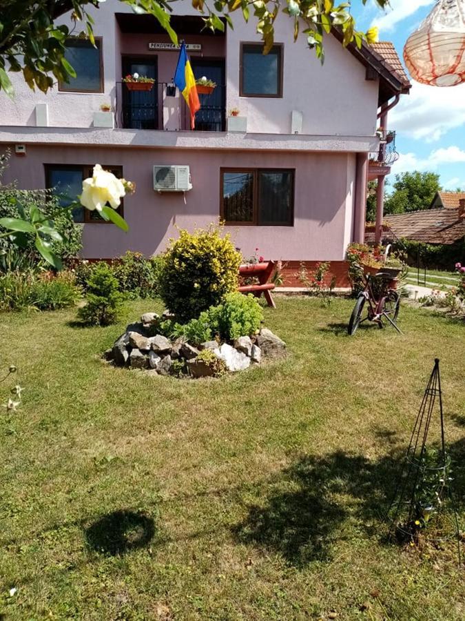 Pensiunea Oana Hotel Balc Exterior foto
